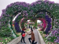 Miracle Garden
