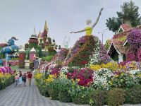 Miracle Garden