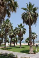 IMG_9198_Sandy Beach Hotel Fujairah