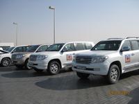 Auf geht`s zur Wüstensafari