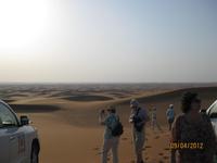 Endlose traumhafte Wüstenlandschaft