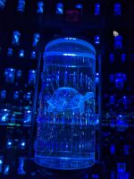 17. Museum of the Future, Dubai