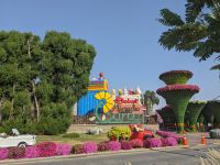 61. Miracle Gardens, Dubai