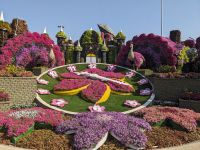 63. Miracle Gardens, Dubai