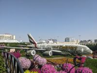 66. Miracle Gardens, Dubai