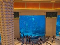 84. Hotel Atlantis, Palme Dubai