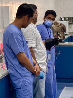 Falkenklinik, Abu Dhabi