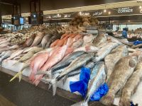 Fischmarkt, Abu Dhabi