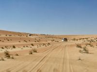 Wüstensafari