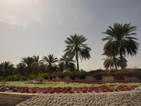 Stadtrundfahrt in Dubai