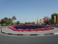 Blumenpracht in Dubai