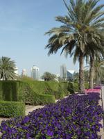 Blumenpracht in Dubai