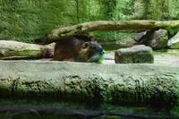 Jeder braucht seinen Schlaf