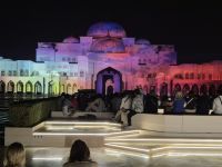 Show Palace in Motion am Präsidentenpalast