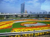 Nicht nur Hochhäuser, sondern auch Botanik