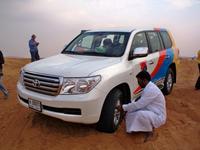 Auf geht es zur Wüstensafari