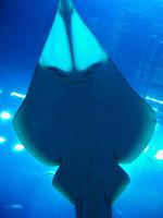 Na hallo... Wer bist du denn?