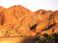 Rückfahrt nach Dubai