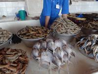 Fischmarkt in Sharjah