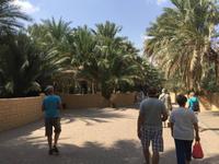 355 Oase Al Ain