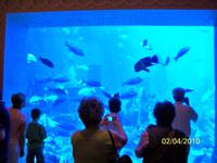 Hier lassen wir uns von einzigartigen Fischen berieseln.