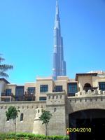 Aber so richtig möchte er nicht auf das Foto. Ob wir ihn noch einmal komplett auf das Bild bekommen?