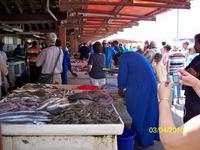 So eine große Auswahl...