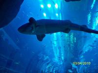 Oh mein Gott. Hoffentlich reißt jetzt nicht das Glas.