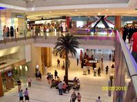 ... die Männer sind total begeistert.