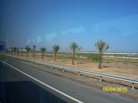 Während der Fahrt merkt man den Unterschied zwichen Dubai und Abu Dhabi