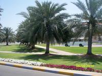 Weiter geht es durch Abu Dhabi...