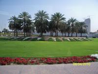 Fahrt nach Al Ain - Oasenstadt