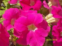 Mal wieder was für Botaniker zwischendurch, worüber wir uns aber alle gefreut haben.