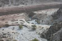 IMG_4189_Blick in den Canyon des Hajar-Gebirges