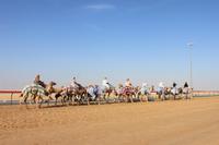 IMG_4218_Training auf der Kamelrennbahn