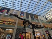 48. Dubai Mall, Dinosaurier, Dubai