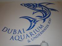 Dubai Aquarium (2)