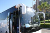 0011 unser örtlicher Reisebus auf der Palmeninsel