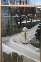 0021 Ski Dubai in der Mall of the Emirates