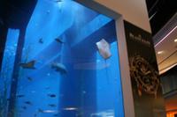 0133 in der Dubai Mall