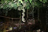 0151 im Unterwasser-Zoo in der Dubai-Mall