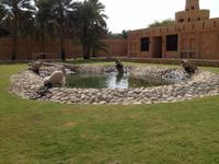 0285 im Palastmuseum in Al Ain