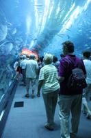 Dubai Aquarium Tunnel