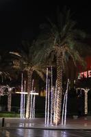 geschmueckte Palmen zum Eid-Festival