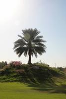 im Hili Archeological Park