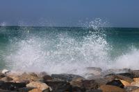 IMG_2895_Wellengang auf der Palme