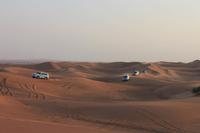 IMG_3059_Wüstensafari