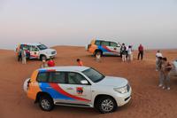 IMG_3073_Fotostopp bei der Wüstensafari