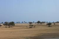 IMG_3197_Strand Fujairah