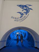 52. Dubai Mall, Aquarium, Dubai